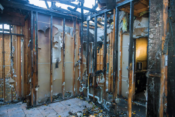 Professional Smoke Damage Removal technician working in Ogilvie, MN